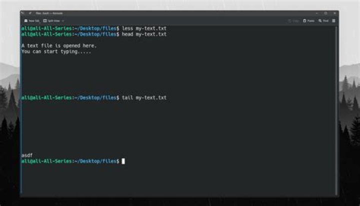 How do I open a text file in my terminal?