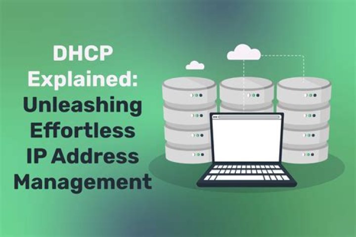 How do I renew my DHCP lease?
