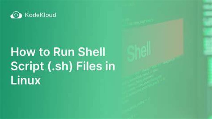 How do I run a shell script without using 