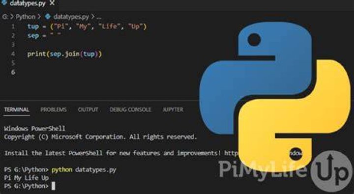 How do I run Python code as a script? [duplicate]