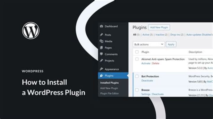 How do I upgrade WordPress Installed by APT?