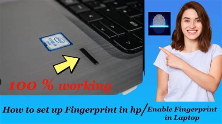 How do I use the fingerprint scanner on a HP Probook?