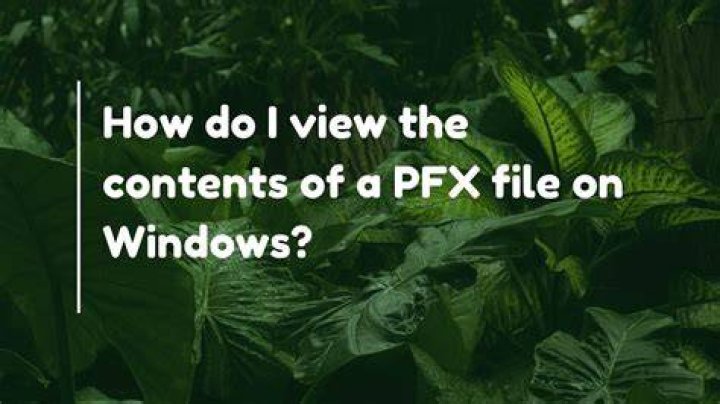 How do I view the contents of a PFX file on Windows?
