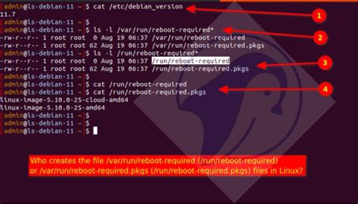 How folders created in /var/run on each reboot