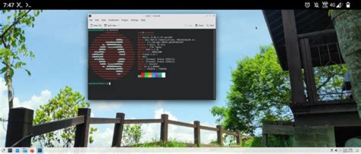 How I can run ubuntu in chroot on Android?