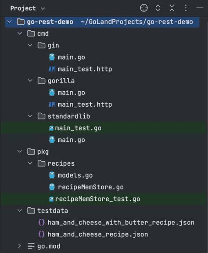 how set middleware gorillas/csrf in framework gin from Go
