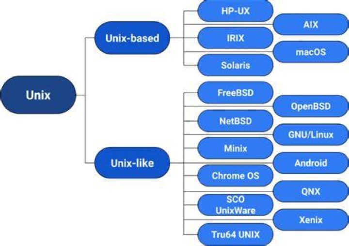 How to add users from text file into the unix system?
