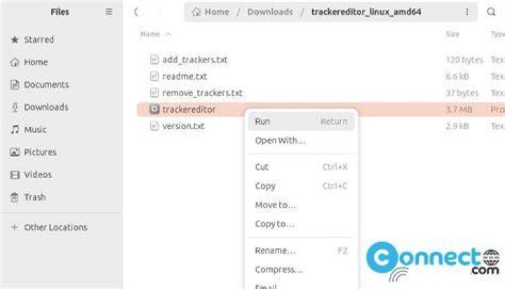 How to build a bittorrent tracker?