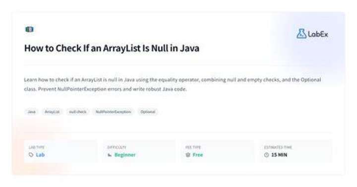 How to check if an int is a null