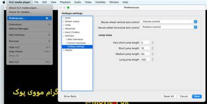 How to configure the foward/rewind step size (in seconds)?