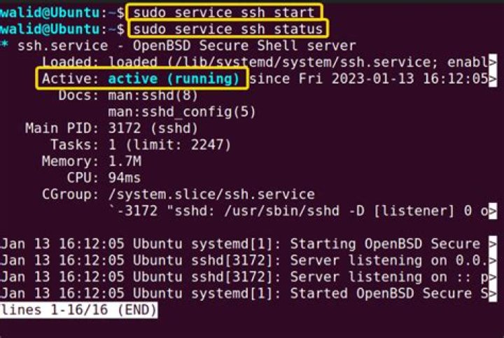 How to create a log of an rsync transfer on the remote server?