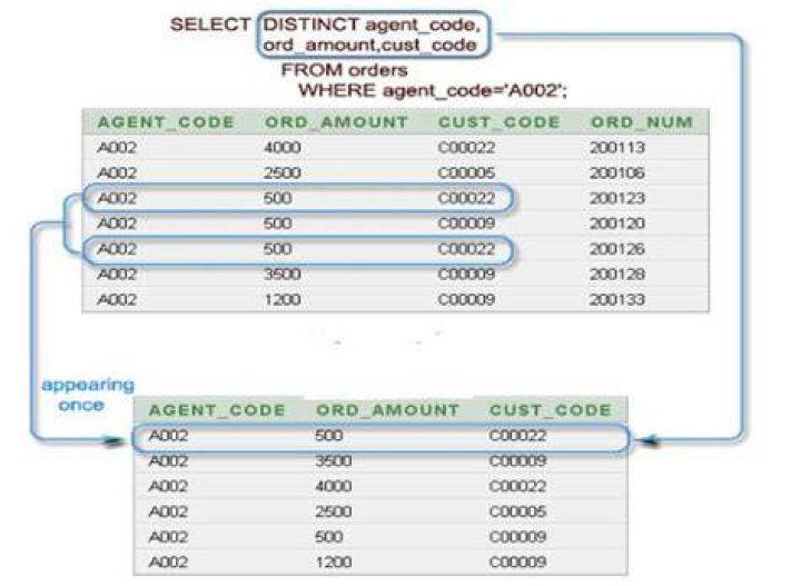 How to create new table from a distinct table in sql? [duplicate]