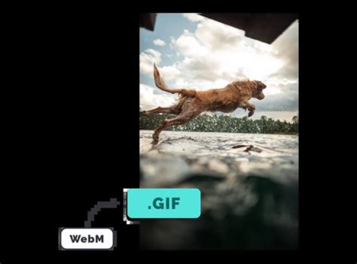 How to do I convert an webm (video) to a (animated) gif on the command line?