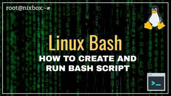 How to execute a bash script?