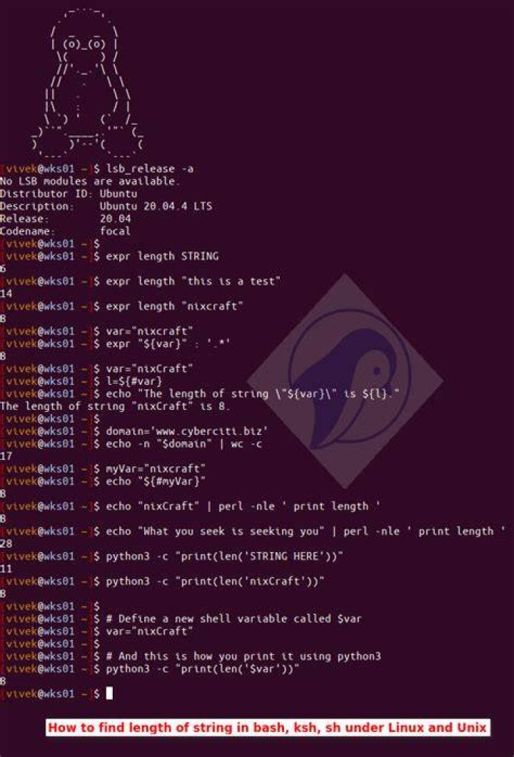 How to find length of string in shell