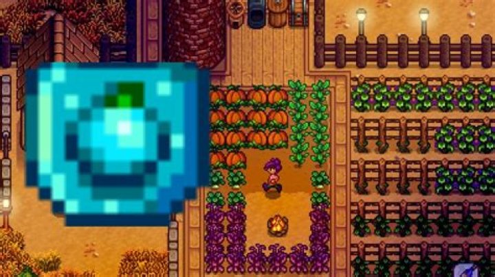 How to get seeds in Stardew valley?