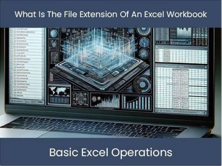 How to get the file extension of the open workbook
