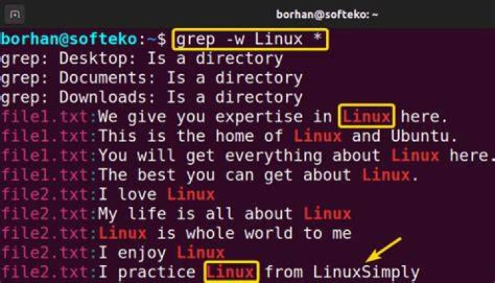 How to grep files in date order