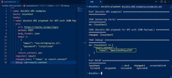 How to inspect a json response from Ansible URI call
