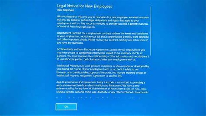 How to interpret this logon log from windows