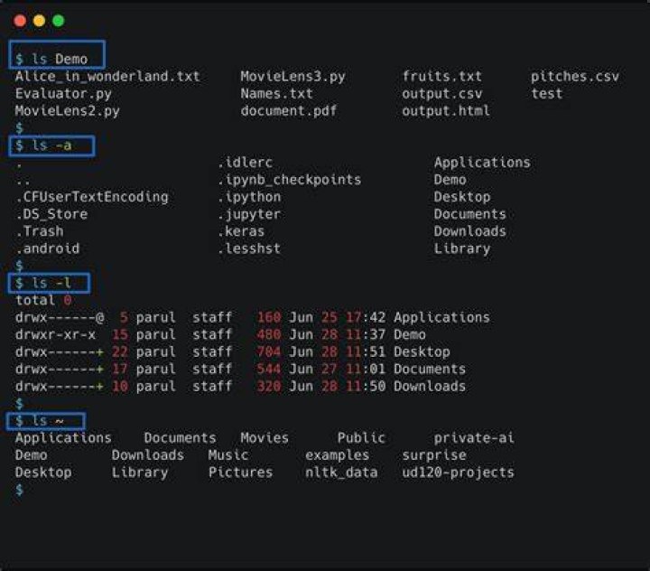 How to list folders using bash commands?