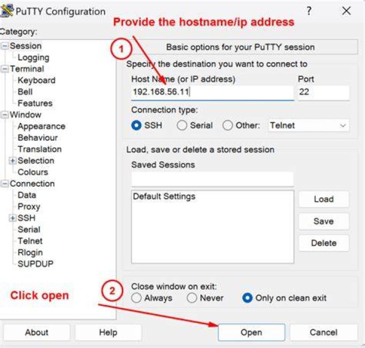 How to login into a machine via putty using a script?