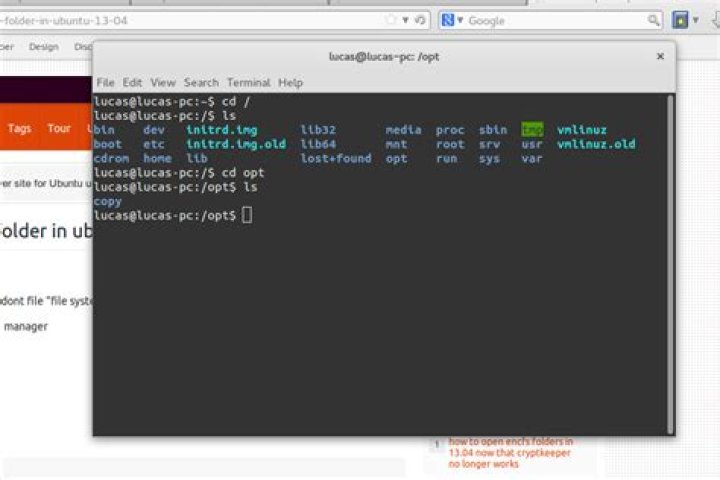 How to open /opt folder in ubuntu 13.04