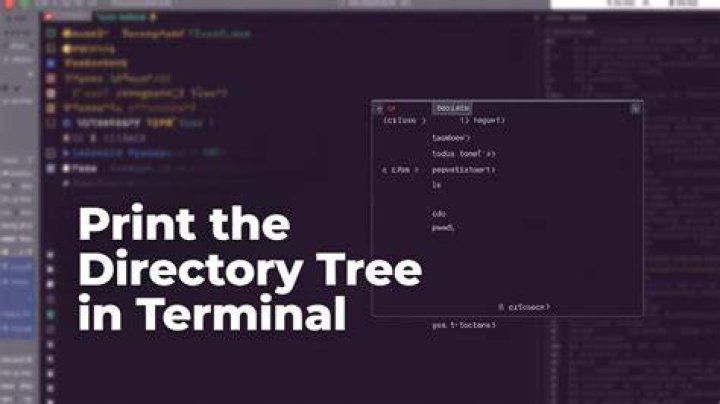 How to print the directory tree in terminal