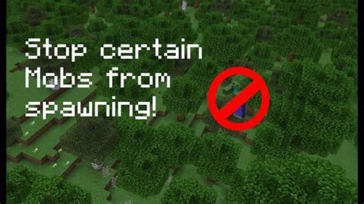 How to protect NPCs from mobs spawning at night?
