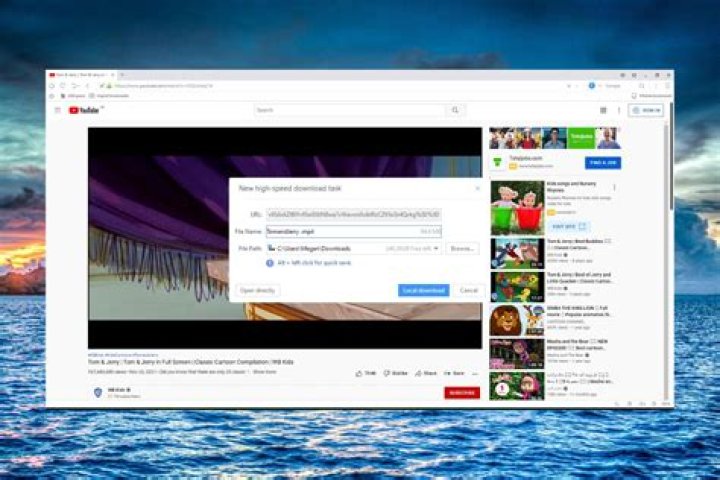 how to read wmv videos in chromium browser?