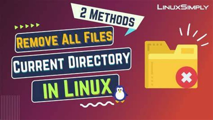 How to remove all files starting with a certain string in Linux