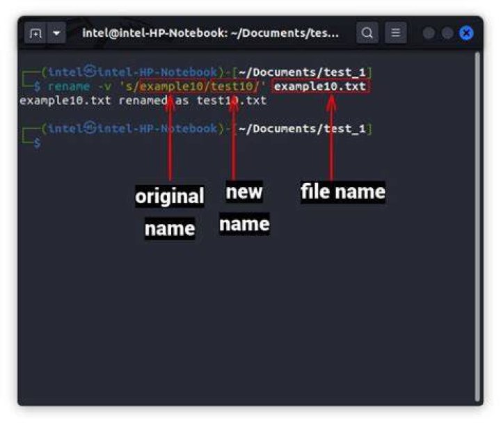 How to rename multiple files in a directory in some pattern in Linux?