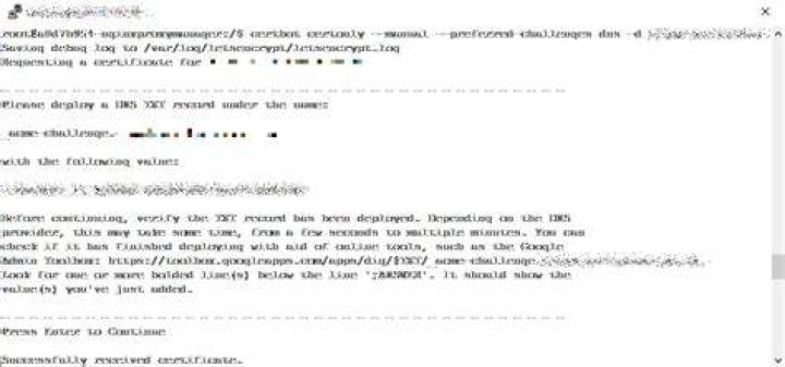How to renew only one domain with certbot?