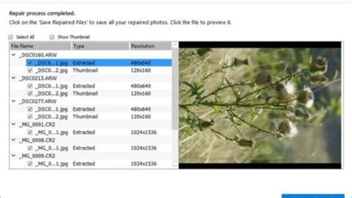 How to repair corrupted JPEG files that still have their thumbnails?
