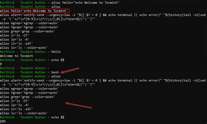 How to run an alias in a shell script?