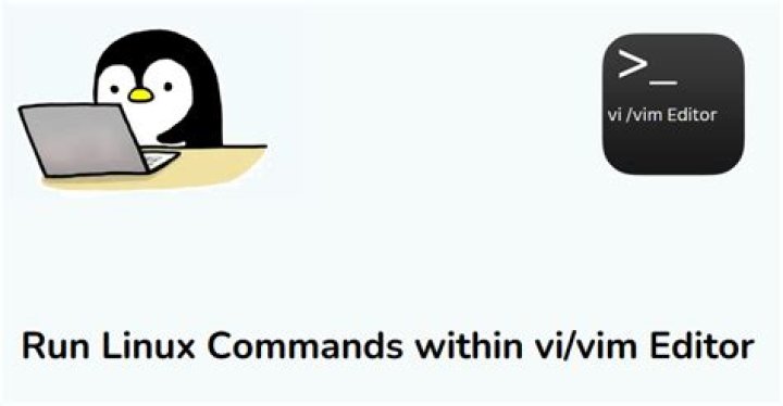 How to run Unix commands from within Vim?