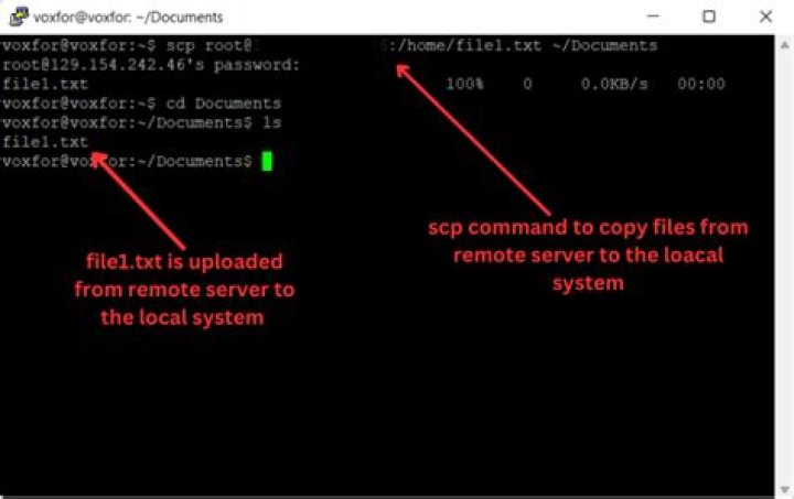 How to scp into a remote server with only root user and no password
