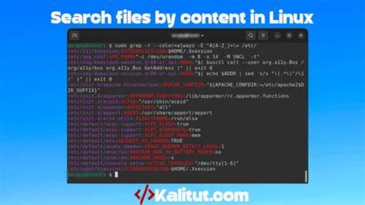 How to search for files with Linux?