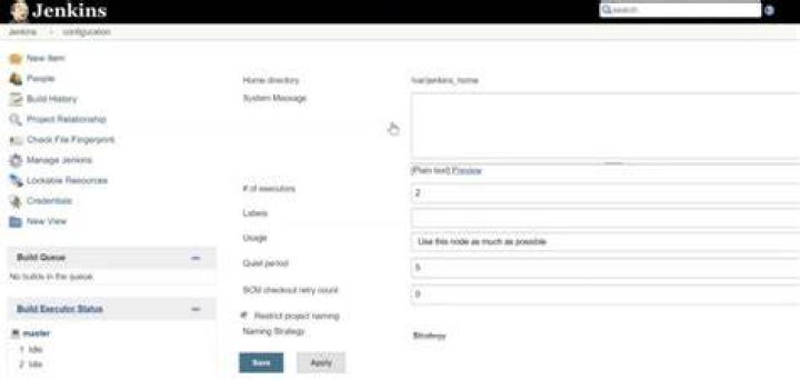 How to set environment variables in Jenkins?