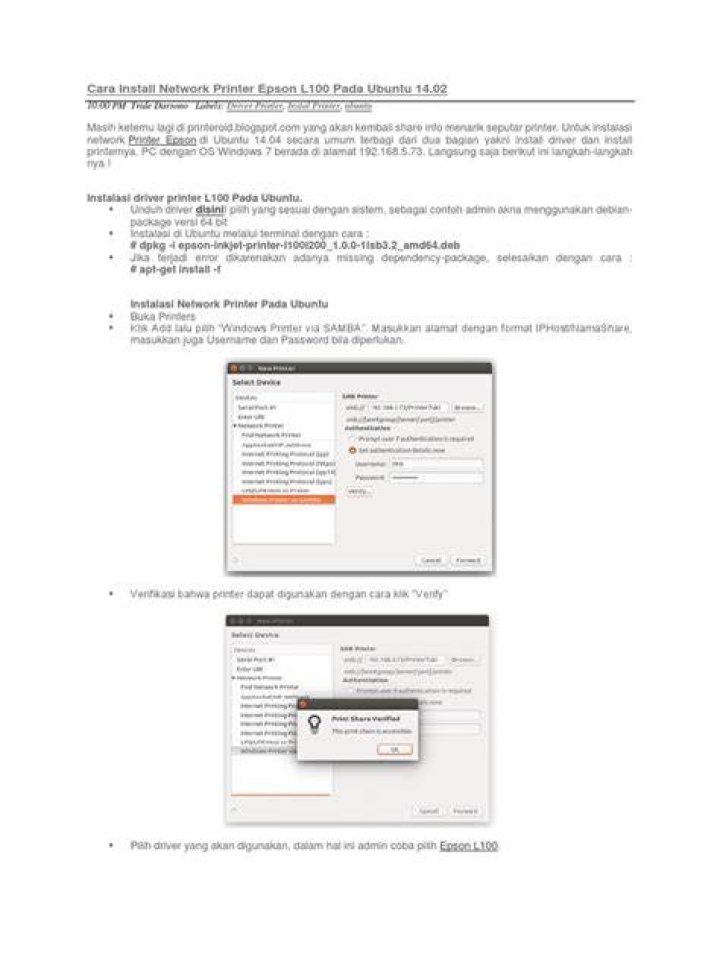 how to set Epson L100 on ubuntu 12.04.