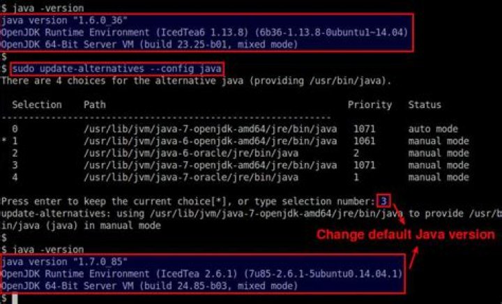How to set the default Java version