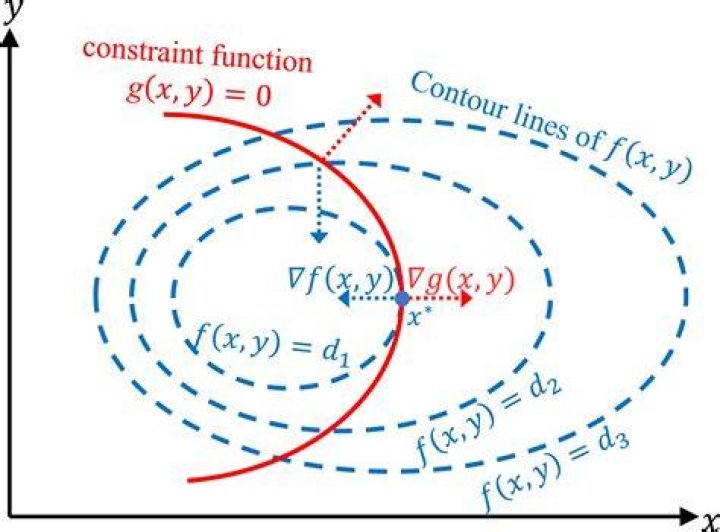How to set up Lagrangian optimization with matrix constrains