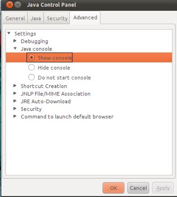 How to show java plugin console