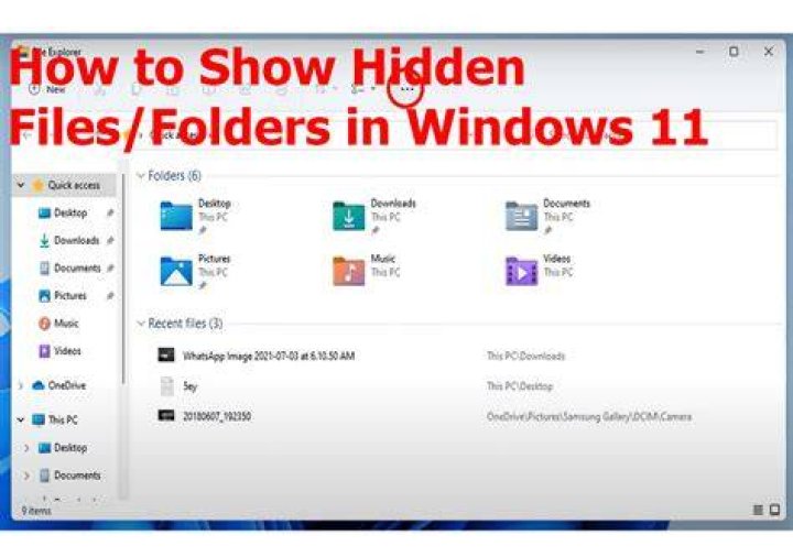 How to show (or hide) a hidden file