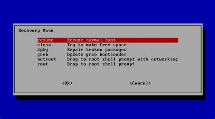 How to start a fail-safe graphics session? (with mouse & web browser)