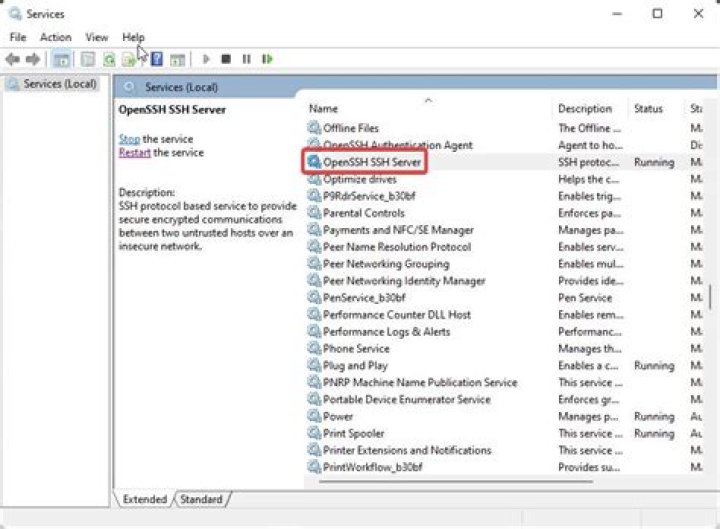 How to start Openssh server after install in WSL?