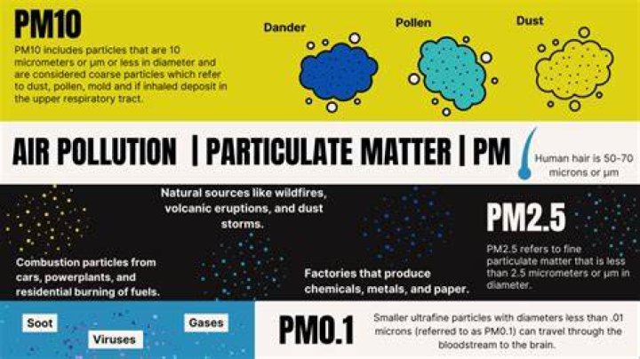 How to stop a pm2 process from systemctl