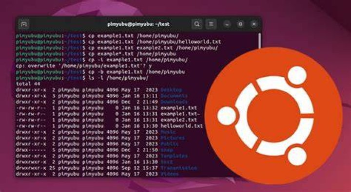 How to submit a file to paste.ubuntu.com without graphical interface?