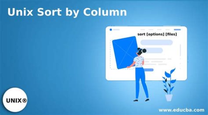 How to UNIX sort by one column only?