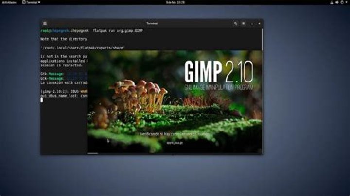 How to use plugins with GIMP 2.10 flatpak?